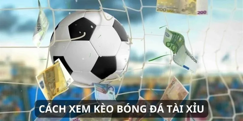 Cách tính tiền lợi nhuận trong kèo bóng đá