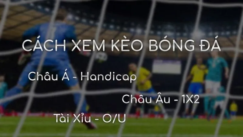Cách đọc kèo đá bóng châu Á